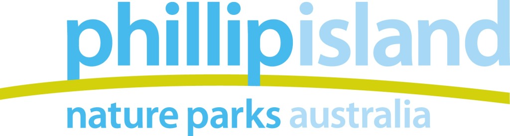 PINP logo